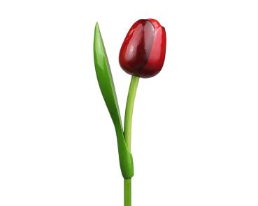 Wooden tulip in a wooden base, to stand, 34cm high, made in Holland, color: red eggplant